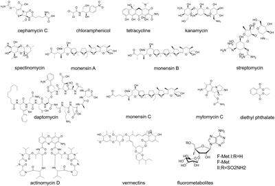 Streptomyces: The biofactory of secondary metabolites